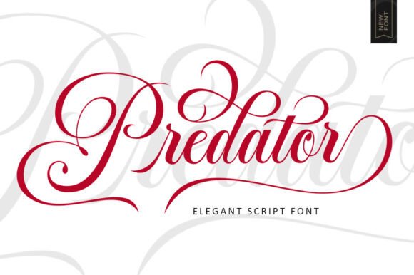 Predator: A Script Font for Editorial Elegance