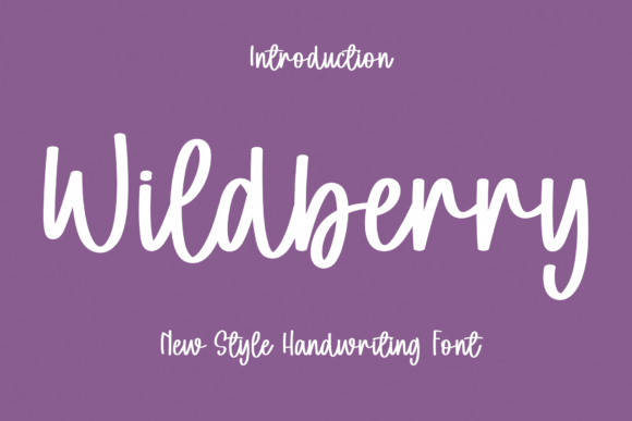 Wildberry Font: A Web Designer's Review of a Fluid Script